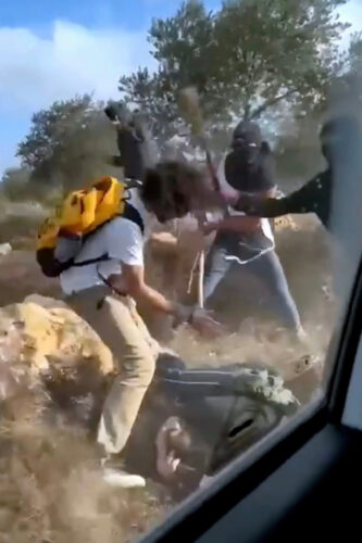 Attacks mount during West Bank olive harvest